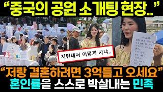 중국반응ㅣ돈을 목적으로 결혼하는 그 나라 사람들..ㅣ혼인률이 바닥을 기는 진짜 이유