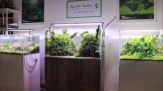 Aquascape Showroom Tour Aquarium Gardens Update 2018