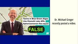Debunking Dr. Greger’s Misinformation: The Truth About Klamath Lake Aphanizomenon flos-aquae (AFA)