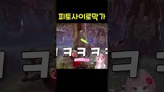 #shorts 피토사이로막가