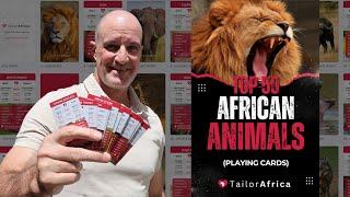 African Safari Animal Cards (Exclusive)