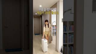 여름철 장마를 똑똑하게 대비하는 제습기 활용법 #제습기추천 #대성제습기 #콘덴싱제습기 #칸쿄제습기