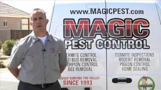 Bee Control Maricopa Country | Magic Pest Control Call (602) 652-2021