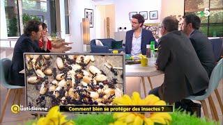 Comment bien se protéger des insectes ?