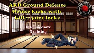 AKD Self-Defense [Aiki Karate Do], Ground Defense, Defuse kicks with killer joint locks.