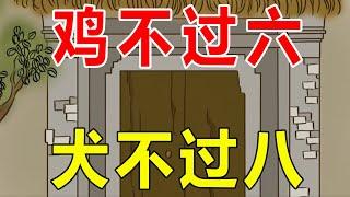 俗语说：“鸡不过六，犬不过八”，何意？老祖宗的话还在理吗？【诸子国学】