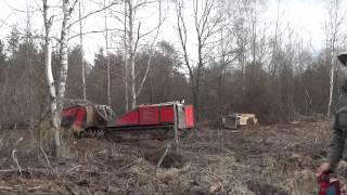 Clearing the vegetation MV-10 & MV-4