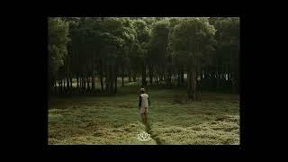 Lizzy McAlpine x Indie Folk Acoustic Type Beat - “Indifferent”
