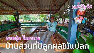 บ้านสวนปลูกผลไม้แปลก ไม้ผล ไม้โบราณ มีพื้นที่ทำเกษตรกรรม และแหล่งน้ำ