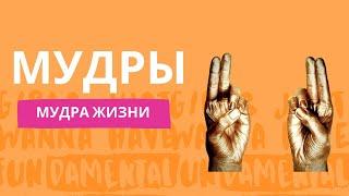 Мудра жизни -  улучши самочувствие за 5 минут в день