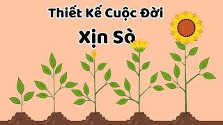 Thiết kế cuộc đời xịn sò - Tri Kỷ Cảm Xúc Web5ngay