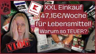 SPAREN XXL Wocheneinkauf TEURER als geplant  47,15€ & VORRAT #foodhaul #budgetplanung #vlog #haul
