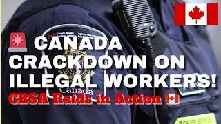 Raids expose worker abuse in Canada | ਕੈਨੇਡਾ ਵਿੱਚ 958 ਕੰਪਨੀਆਂ ਤੇ ਮਾਰੇ ਛਾਪੇ  | Canada 958 companies