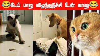 நான் வரமாட்டேன் போடி‍⬛#viral #trending #comedy #funnyanimalvideos