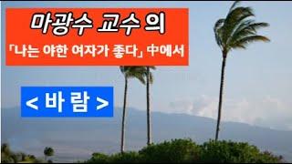 마광수 교수의 에쎄이 _바람 feat 마광수 ,자유문학사, 나는 야한 여자가 좋다