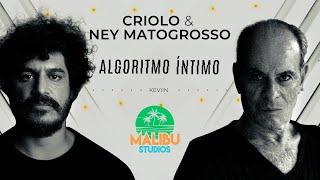 Criolo & Ney Matogrosso - Algoritmo Íntimo