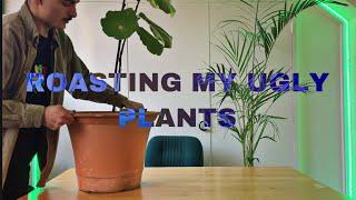 I roast the ugly plants in my home