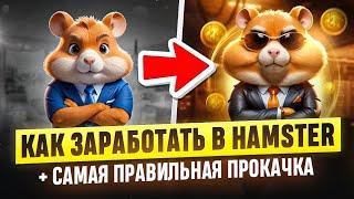 Как заработать в Hamster Kombat БЕЗ ВЛОЖЕНИЙ? Самая лучшая прокачка, гайд для новичков