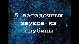 5 загадочных звуков записанных на большой глубине! Это никогда не воспроизведут по телевизору!