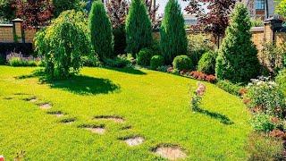 Ландшафтный дизайн частного двора Лучшие примеры / Examples of landscape design / A - Video