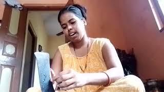 Bengali Vlog - Shuli Chowdhury vlogs
