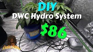 DIY DWC System For Plants (under $100)