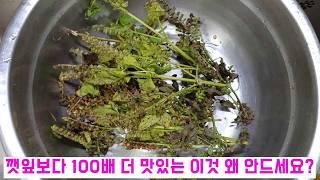 깻잎김치 보다 100배는 더 맛있어요