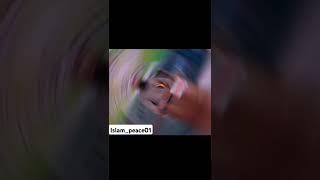 Ronakai zindagi#Mufti Gulzar sab #islam_peace01#viralvideo#viralshorts