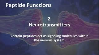 5 - 4. The Peptide Protocol Bible - Introduction to Peptides - Peptides vs Proteins