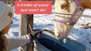 Night chores after our days' work. #waterhose #goatlife #haybale