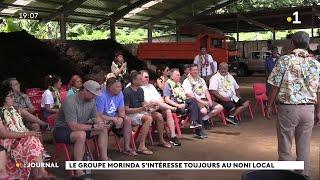 Le groupe Morinda s'intéresse toujours au Noni local