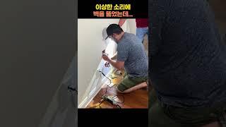 이상한 소리에 벽을 뚫었는데  #shorts #다람쥐 #동물