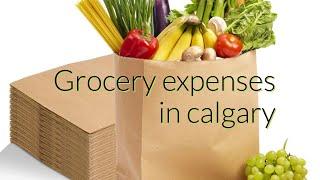 Grocery expenses in calgary, canada . Indian grocery store in calgary#explore #youtube