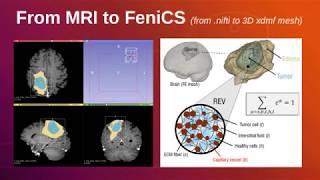 From MRI to FEniCS 3D xdmf mesh