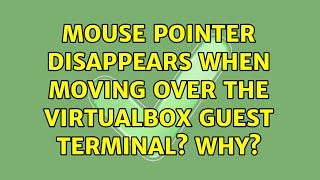 Mouse pointer disappears when moving over the Virtualbox guest terminal? Why?