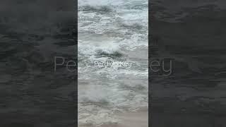 Beach Homes Near Gulf Shores, Alabama | Sotheby's International Realty