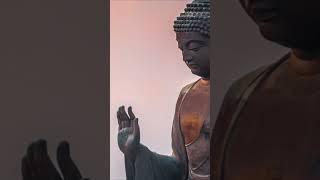 천수경 영인스님 한가지 소원은 반드시 이루어진다 #buddha #불경 #염불 #healing