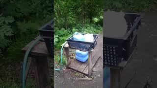 Вода вкуснее, чем из магазина! Родник уДачи — алтайский лайфхак s #ЖизньВДеревне #Родник #Алтай