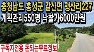 충청남도땅 홍성땅 계획관리550평 낙찰가6000만원 귀농귀촌 주말영농체험 텃밭 주말농장 농촌체류형쉼터 전원주택 농지연금 농지임대 스마트팜 경매땅공매땅