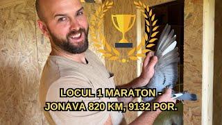 LOCUL 1 MARATON - JONAVA, 820 KM. 9132 PORUMBEI - TUGUI MIHAI SI DEL DIN VICOVU DE JOS