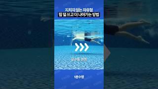 지치지 않는 자유형, 핵심은 스트로크 힘 배분‍️#수영 #자유형