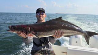 Catching Cobia In A Huge School of Bull Reds In The Chesapeake Bay! (Hour Trip Pays Off)