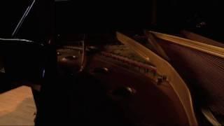 Inside the Piano - Treasures of The New York Public Library