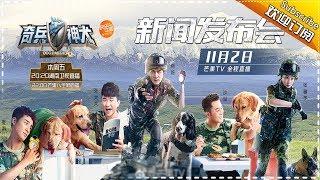 Dog Partner  [highlight]【 Hunan TV official channel】