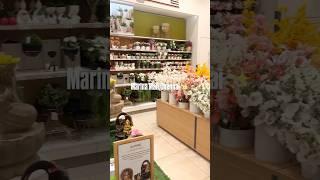 Marina Mall Chennai #shopping #haul Homecentre Miniso California Burrito #plantlover #decor #vlog