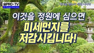 미세먼지 저감능력이 우수한 정원수 19선, 숲프로 TV