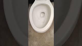 2010s or 2020s Kohler highline PL toilet at harbor freight!