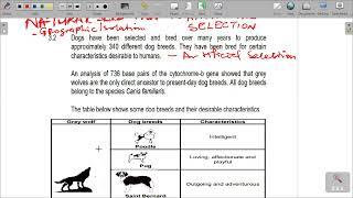 GRADE 12 EVOLUTION REVISION PAPER 2