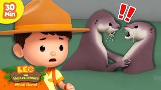 THE OTTERS ARE FIGHTING!  | Small Animals  | Leo the Wildlife Ranger | Kids Cartoons