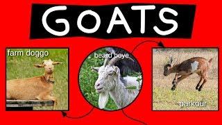 Goats Explained